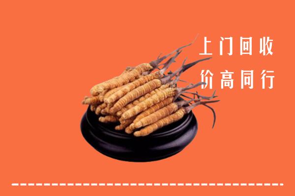 高价求购：遵义凤冈回收散虫草