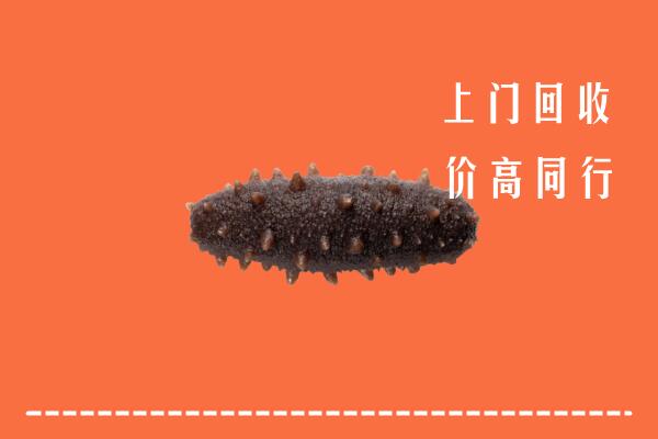 高价求购：遵义凤冈回收海参